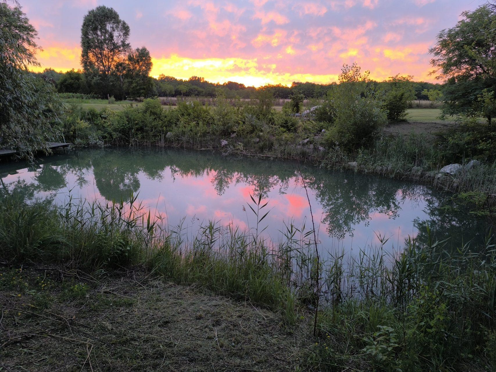 Breathtaking sunset over the natural swimming pond with pink sky reflections