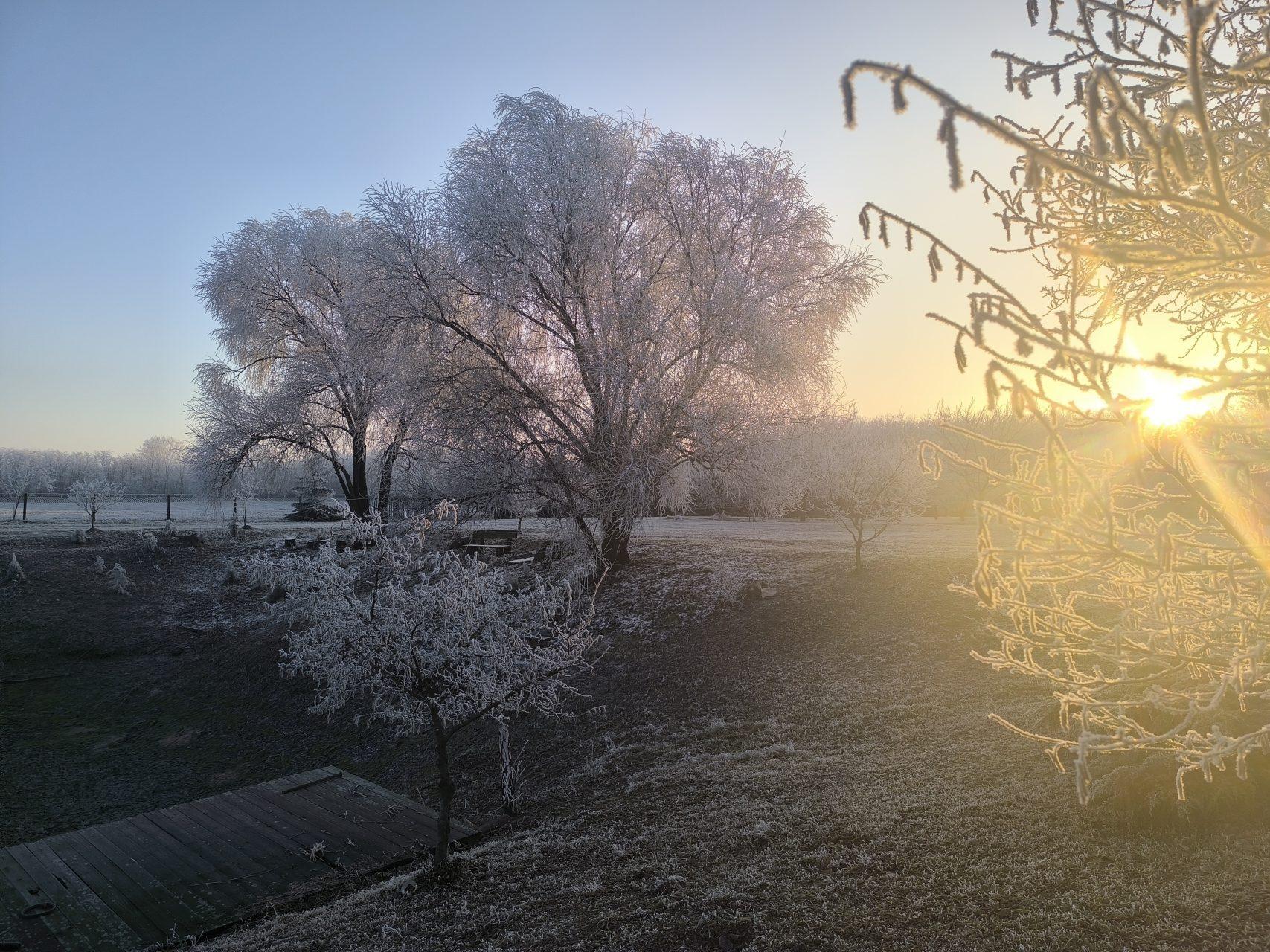 A magical frosty winter sunrise over the property