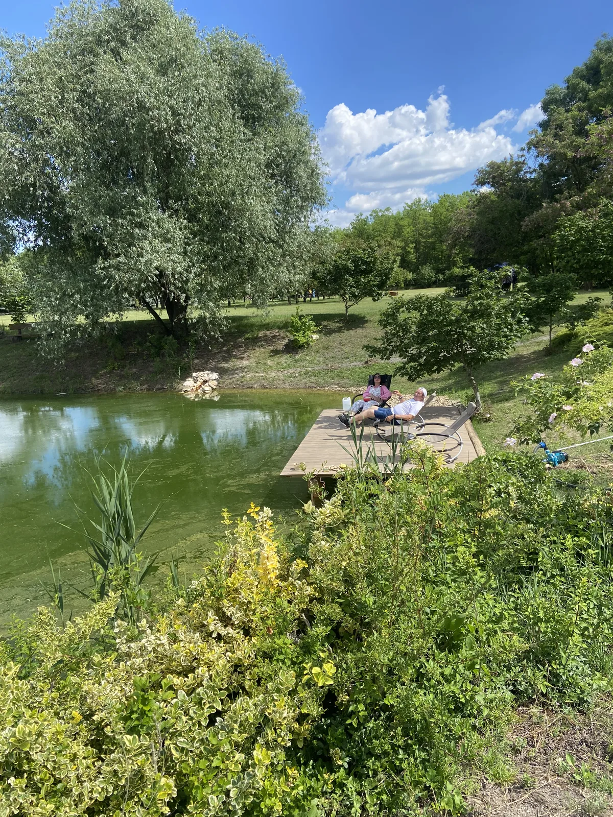 Idyllischer Teich